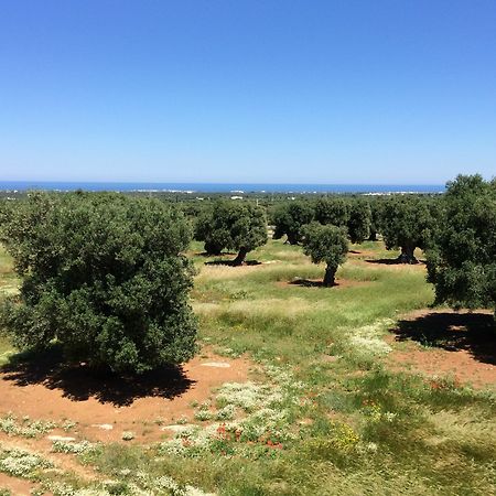 Masseria Capece Pezze Di Greco Exterior foto