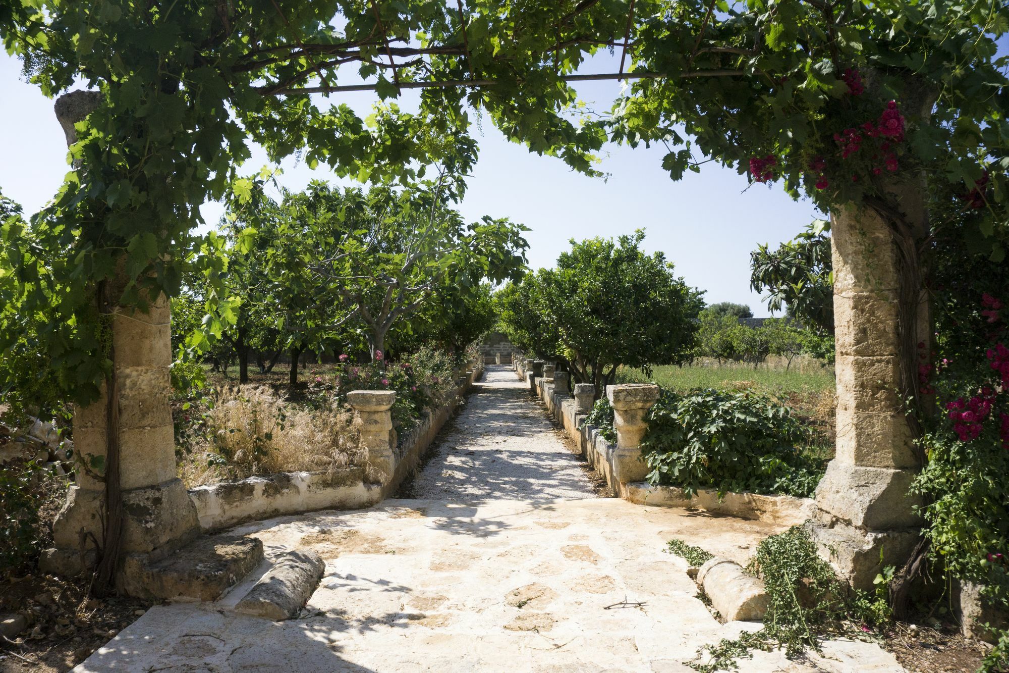 Masseria Capece Pezze Di Greco Exterior foto